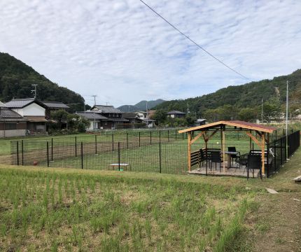 ドッグラン全景